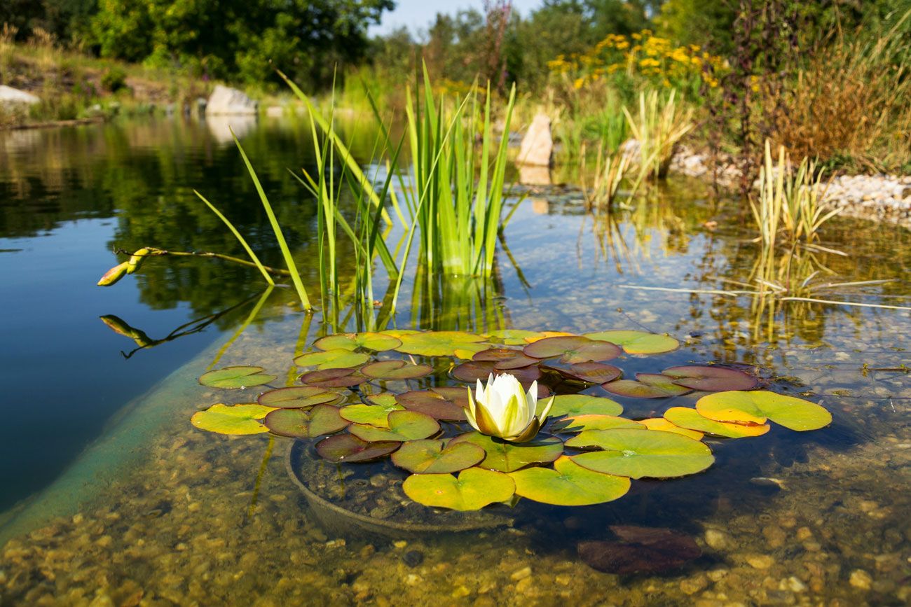 Projekt aus dem Garten- und Landschaftsbau